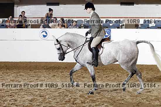 Proof Number 10r9_5184