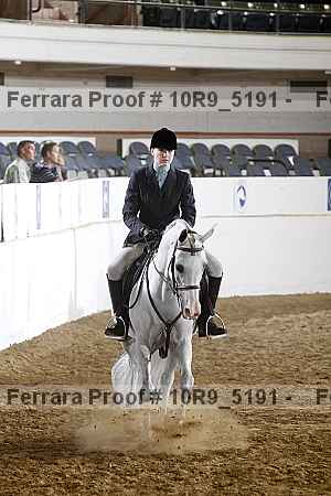 Proof Number 10r9_5191
