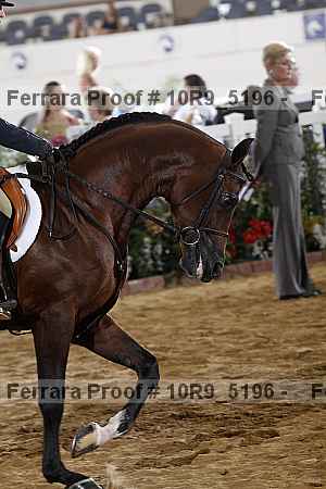 Proof Number 10r9_5196