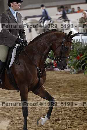 Proof Number 10r9_5198