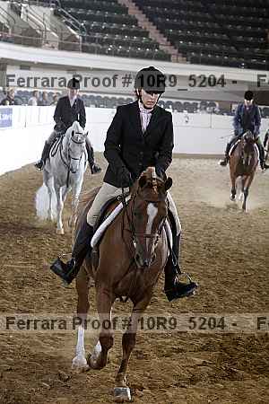 Proof Number 10r9_5204