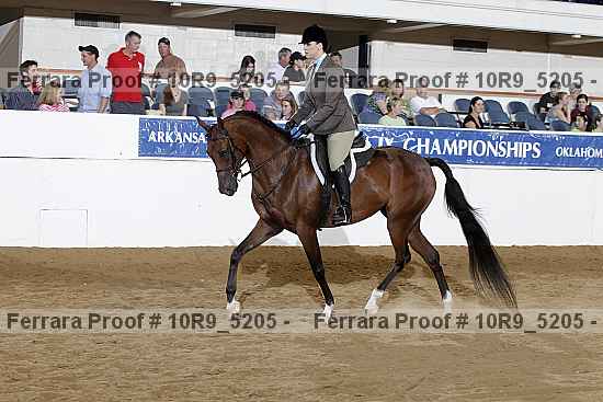 Proof Number 10r9_5205