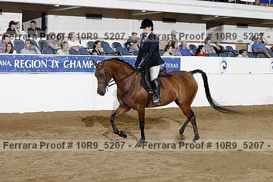 Proof Number 10r9_5207