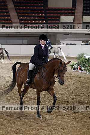 Proof Number 10r9_5208