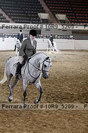Proof Number 10r9_5209