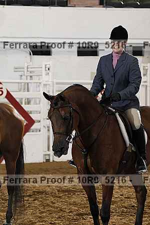 Proof Number 10r9_5216