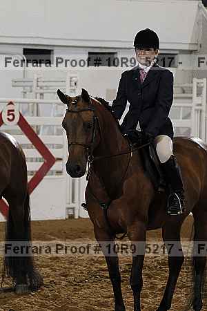 Proof Number 10r9_5217