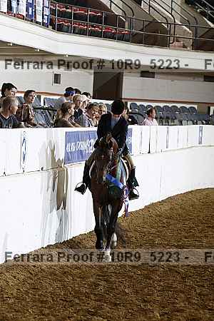 Proof Number 10r9_5223