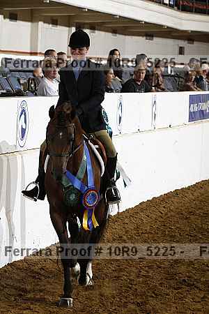 Proof Number 10r9_5225