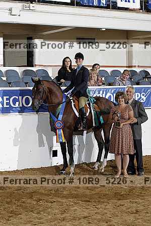 Proof Number 10r9_5226