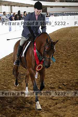 Proof Number 10r9_5232