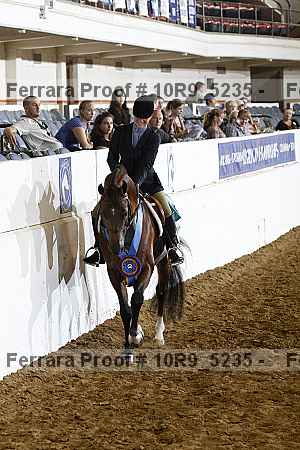 Proof Number 10r9_5235