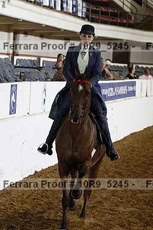 Proof Number 10r9_5245