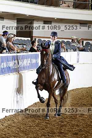 Proof Number 10r9_5253