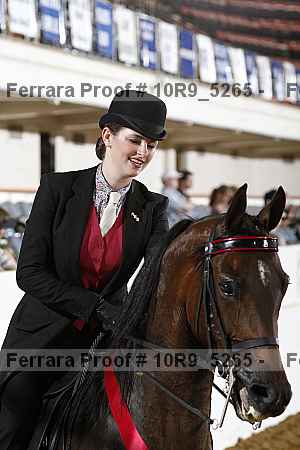 Proof Number 10r9_5265