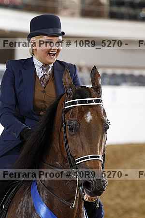 Proof Number 10r9_5270