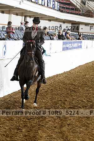 Proof Number 10r9_5274