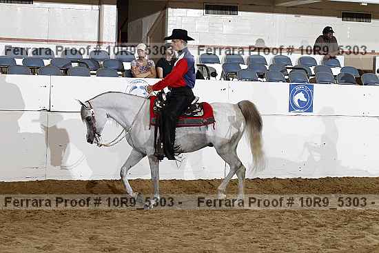 Proof Number 10r9_5303