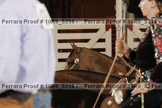 Proof Number 10r9_5314