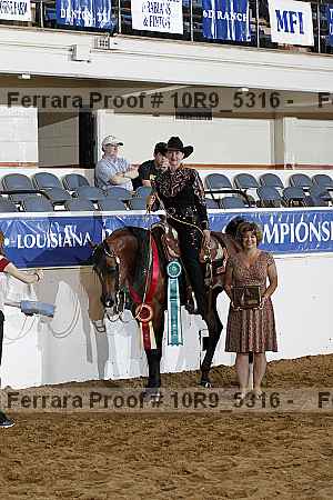 Proof Number 10r9_5316