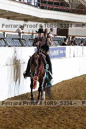 Proof Number 10r9_5334
