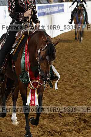 Proof Number 10r9_5339