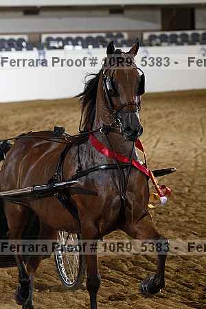 Proof Number 10r9_5383