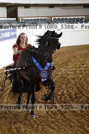 Proof Number 10r9_5386