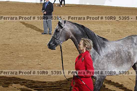 Proof Number 10r9_5395