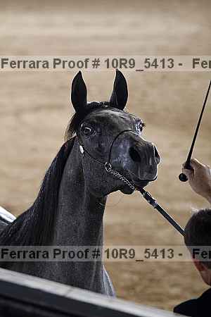 Proof Number 10r9_5413