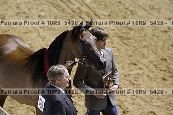 Proof Number 10r9_5428
