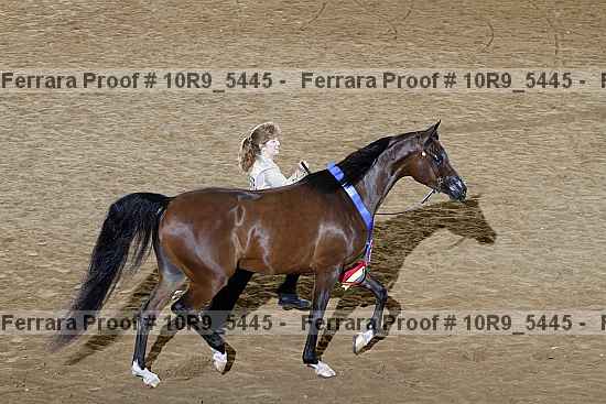Proof Number 10r9_5445