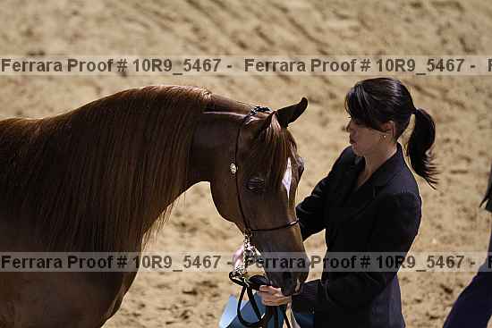 Proof Number 10r9_5467