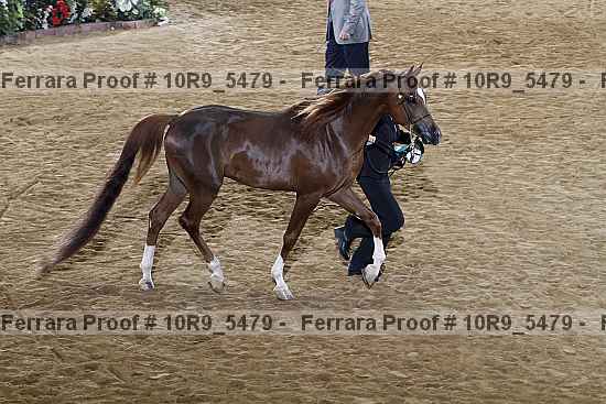 Proof Number 10r9_5479