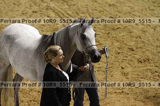 Proof Number 10r9_5515