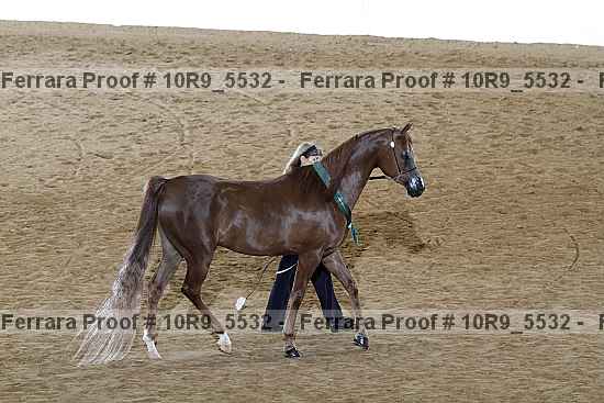 Proof Number 10r9_5532