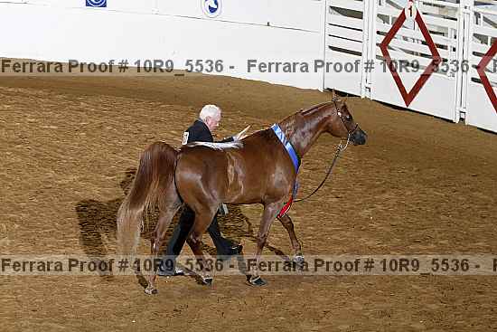 Proof Number 10r9_5536