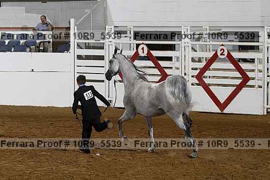 Proof Number 10r9_5539