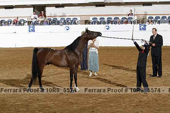 Proof Number 10r9_5574