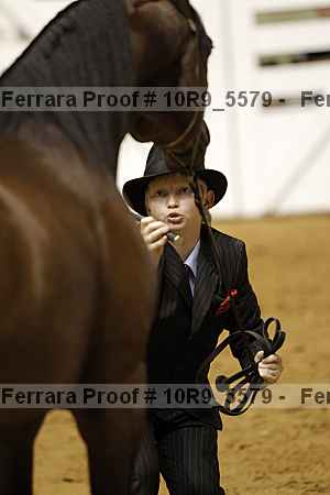 Proof Number 10r9_5579