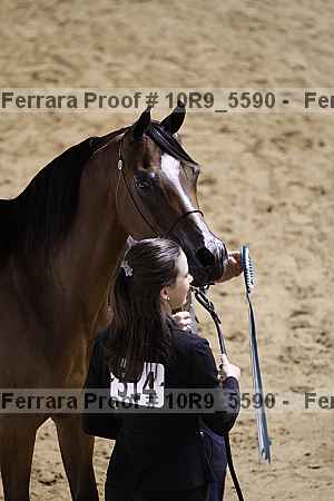 Proof Number 10r9_5590
