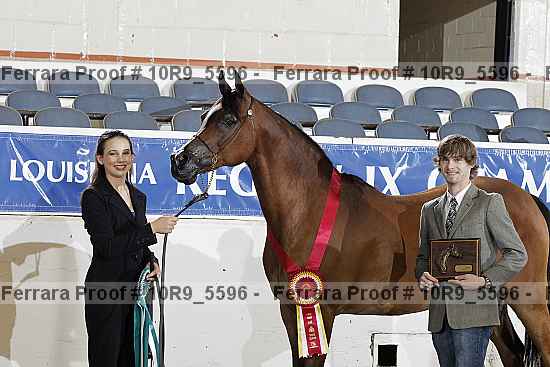 Proof Number 10r9_5596
