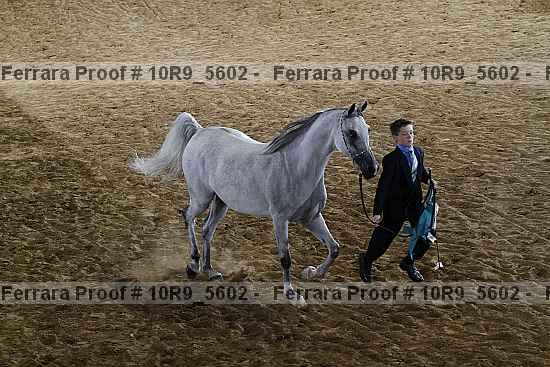 Proof Number 10r9_5602