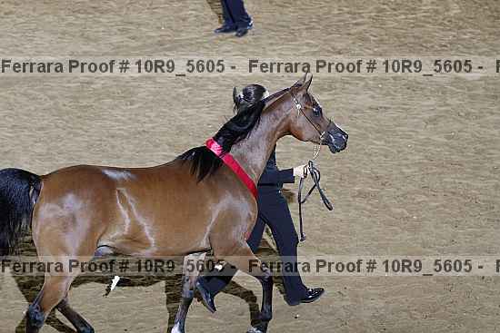 Proof Number 10r9_5605