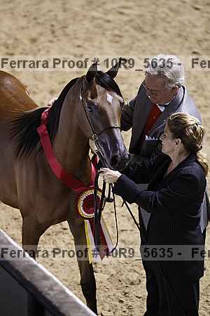 Proof Number 10r9_5635