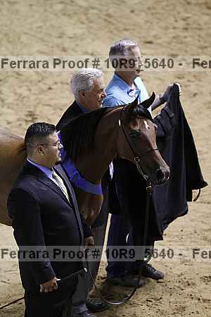 Proof Number 10r9_5640