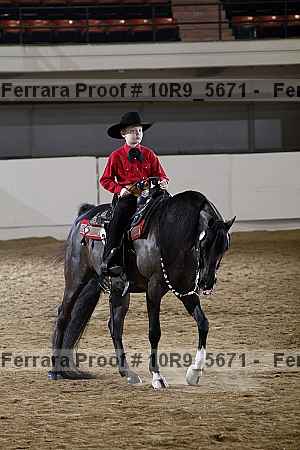 Proof Number 10r9_5671