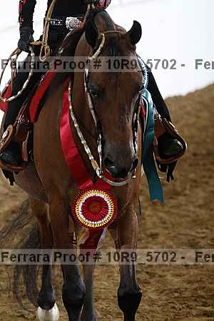 Proof Number 10r9_5702