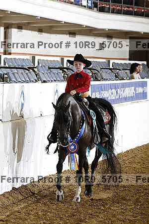 Proof Number 10r9_5705