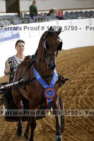 Proof Number 10r9_5795